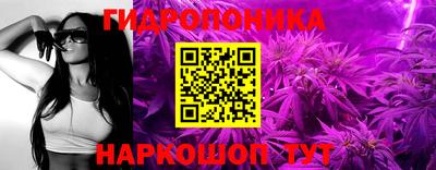 гидра Кандалакша