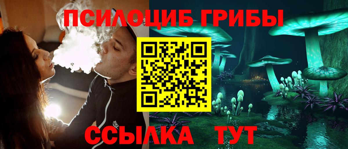 Лабинск  Псилоцибиновые грибы MAGIC MUSHROOMS  Вход с VPN 
