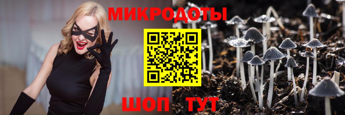 Галлюциногенные грибы Psilocybine cubensis Лабинск